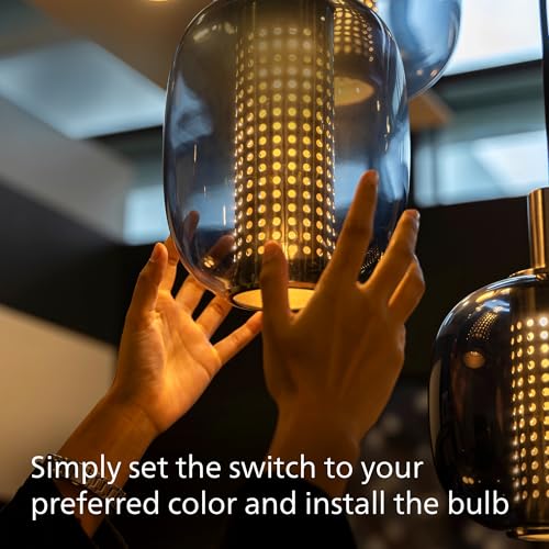 A19 Light Bulbs (12 Count)