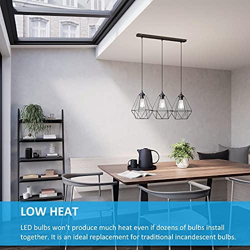 Dimmable Vintage LED Edison Bulbs 60W Equivalent 6W 850 Lumens (12 Count)