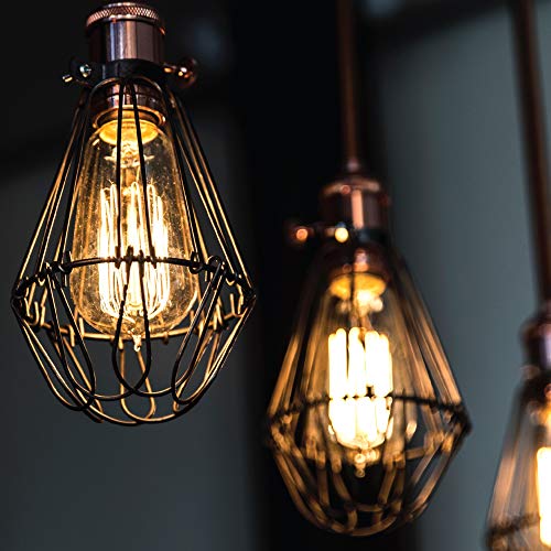 ST64INC 6 ST64 Vintage Light Bulb 6 (6 Count)