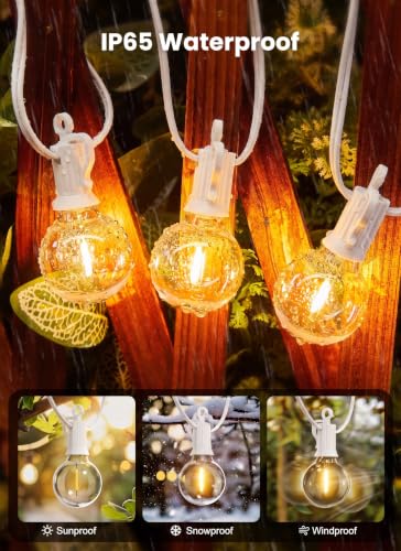 Outdoor String Lights (25 Count)