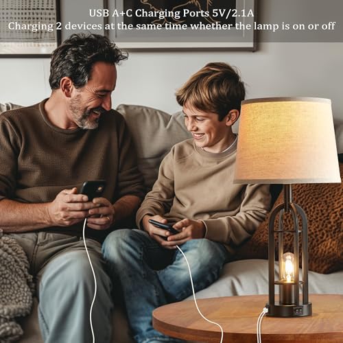 Black Table Lamps for Living Room Set of 2 (2 Count)