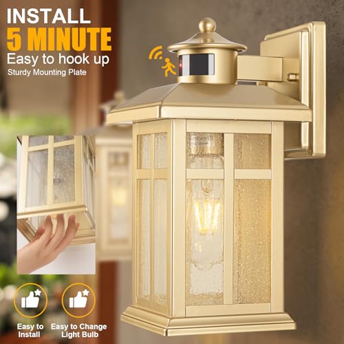 Outdoor Light Fixture Motion Sensor