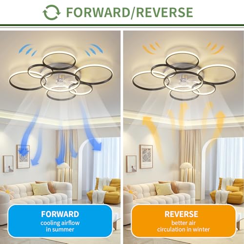 41" Modern Ceiling Fan with Lights