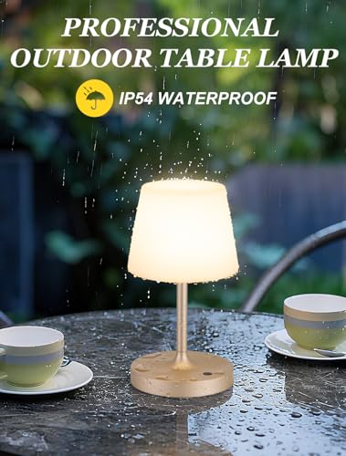 Champagne Gold Shower Lamp Waterproof