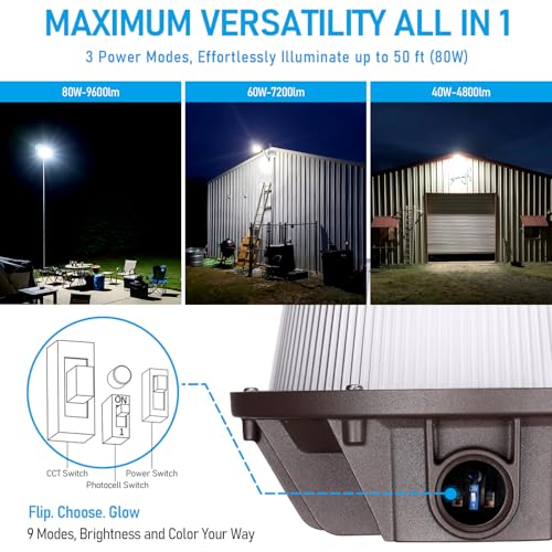 3CCT LED Barn Light Dusk to Dawn Area Lights Aluminum Bronze