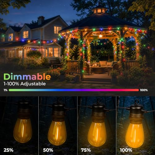 Colored Light Bulbs 24 Pack (24 Count)