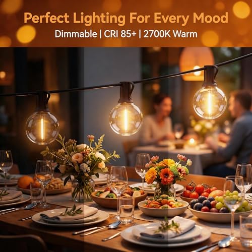 Outdoor String Lights 25 FT Waterproof (25 Foot)