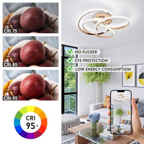 Modern LED Ceiling Light Fixture