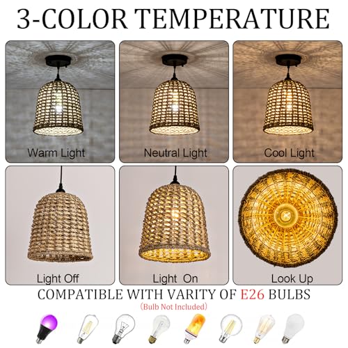 Mini Rattan Pendant Light (3 Count)