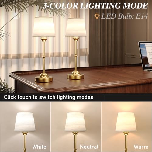 2 Pack Cordless Table Lamps