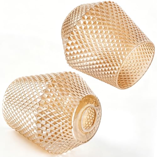 2Pcs Small Glass Lamp Shades (2 Count)