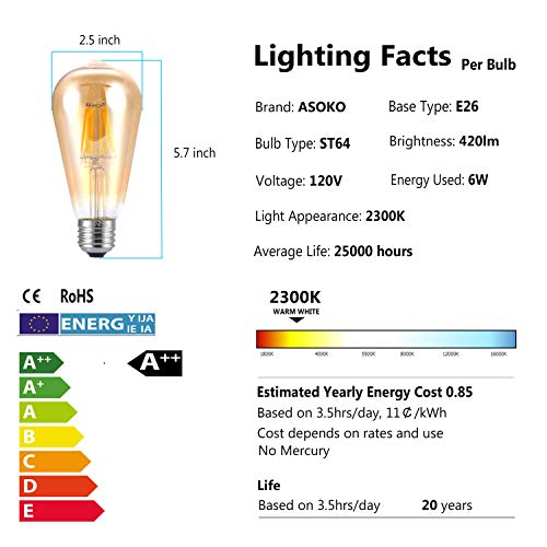 Edison Bulb ST64