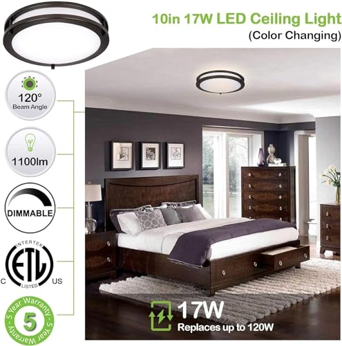10 inch Flush Mount LED Ceiling Light Fixture (2 Count)