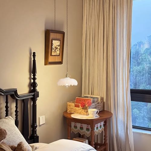 Plug in Pendant Light
