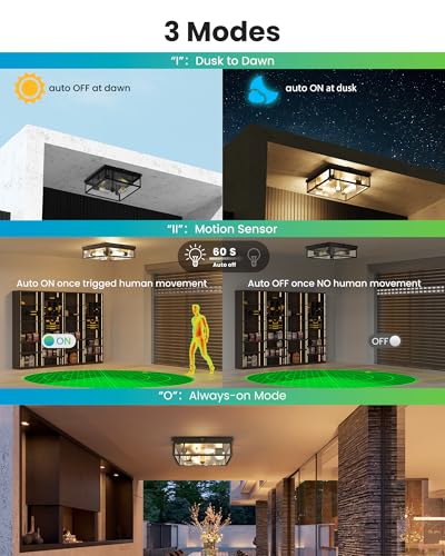 Caftersmark Outdoor Ceiling Light with Motion Sensor 14‘’