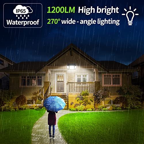 Solar Outdoor Lights
