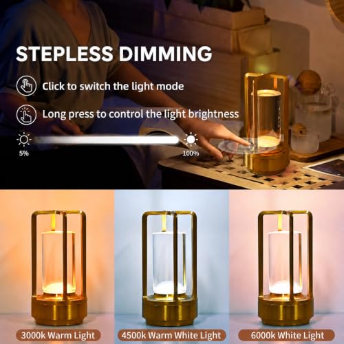 2 Pack Cordless Table Lamps (2 Count)