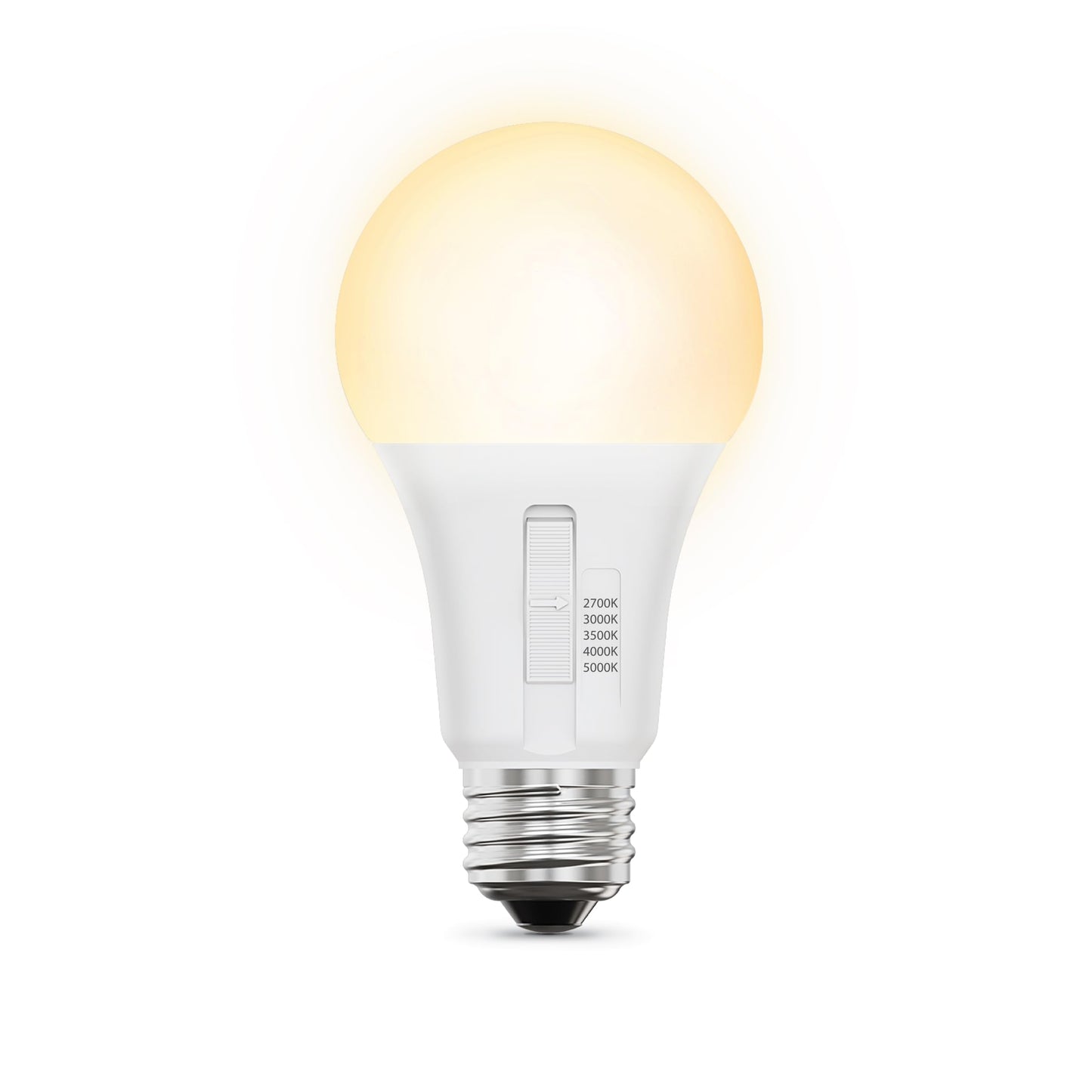 A21 LED Light Bulb (6 Count)