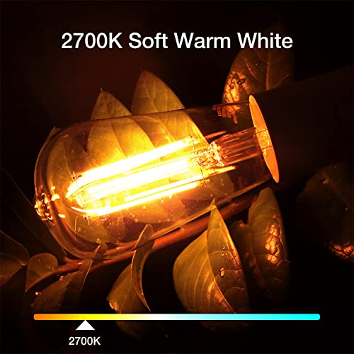 20 Pack ST58 LED Edison Bulbs (20 Count)