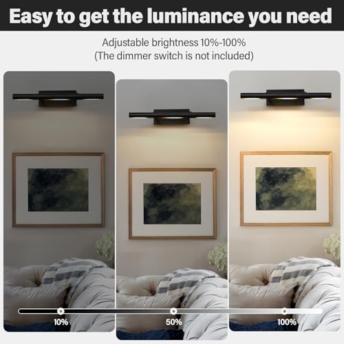 Black Art Picture Frame Wall Light