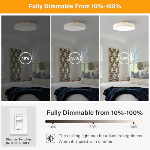 Dimmable LED Ceiling Light Fixture