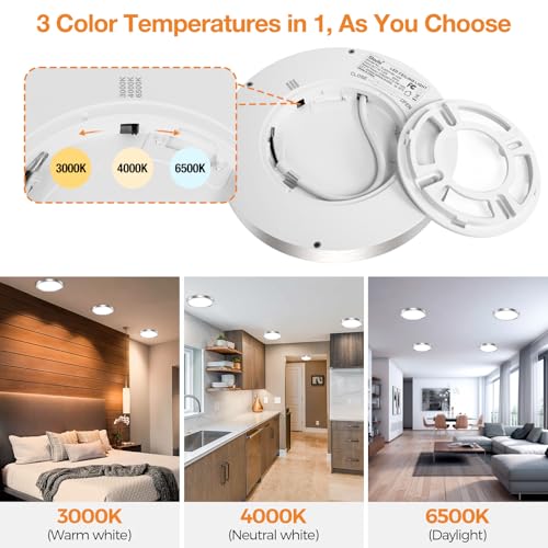 LED Flush Mount Ceiling Light Fixture