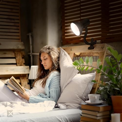 LED Clip on Desk Lamp with 360° Flexible Gooseneck