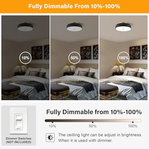 Dimmable LED Ceiling Light Fixture