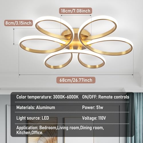 26inch Modern LED Ceiling Light
