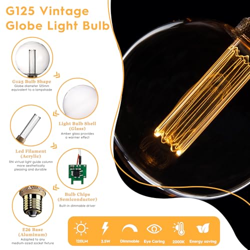 Large Round Light Bulb Vintage Edison LED Dim Soft Warm Clear G125