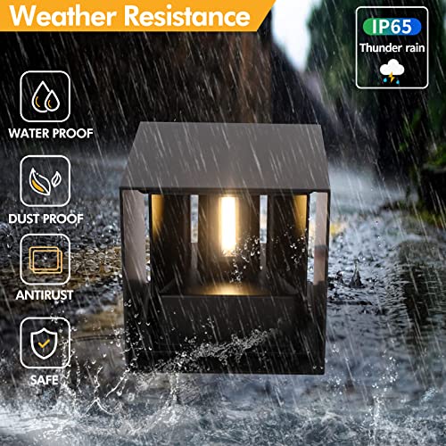 2 Pack LED Outdoor Wall Lights Exterior (2 Count)