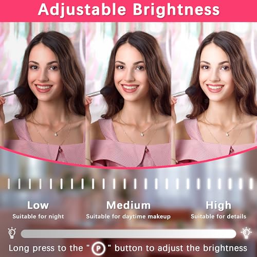 22x17 Inch Lighted Vanity Mirror with Dimmable LED Lights