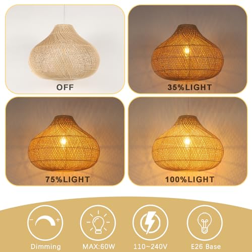 Large Rattan Pendant Light