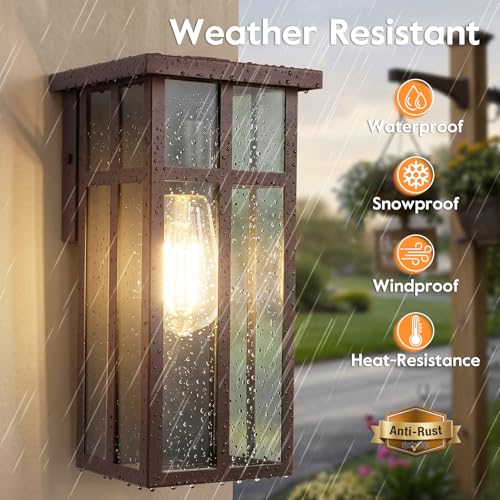 Outdoor Wall Light Fixtures (2 Count)