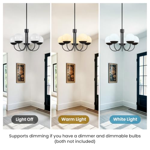 5 Light Modern Chandelier for Dining Room
