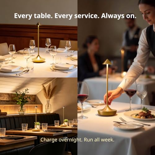 Cordless Rechargeable Table Lamp
