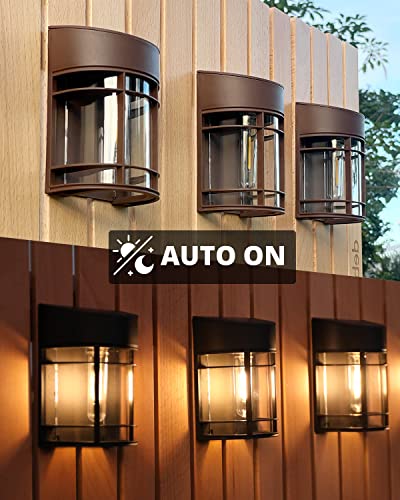 Solar Lights Outdoor (12 Count)