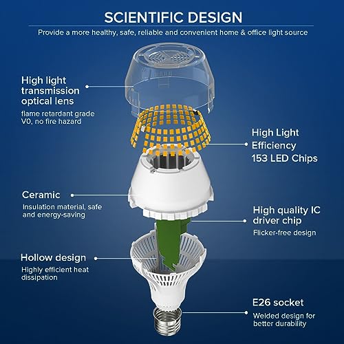 250W Equivalent A19 LED Light Bulb
