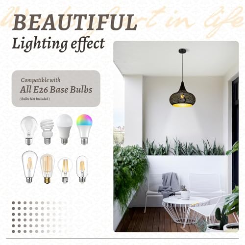 Vintage Black Pendant Light Set of 2 (2 Count)