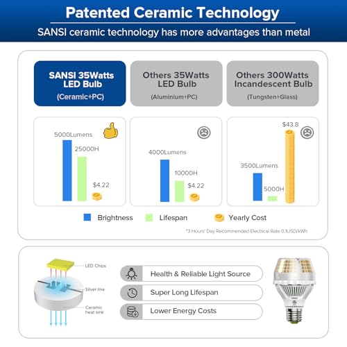 300W Equivalent 5000 Lumens LED Light Bulb (2 Count)