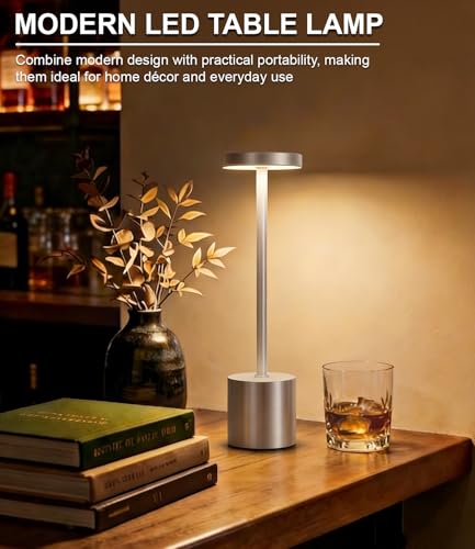 Silver Cordless Table Lamp Rechargeable (2 Count)