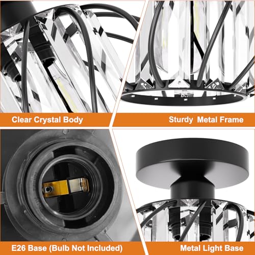 Black Crystal Ceiling Light Fixture (2 Count)