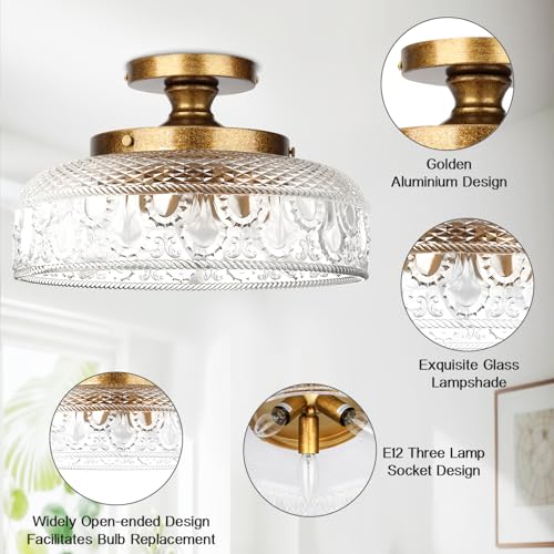 Semi Flush Mount Ceiling Light