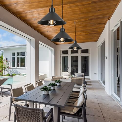 Black Plug in Pendant Light (2 Count)