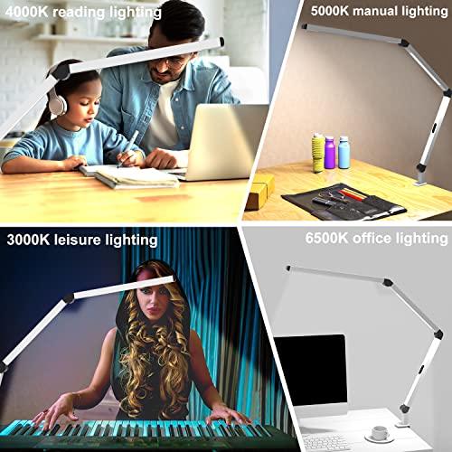 LED Desk Lamp with Clamp