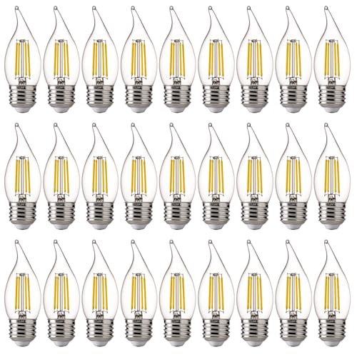 3000K Warm White LED Chandelier Edison Bulbs (24 Count)