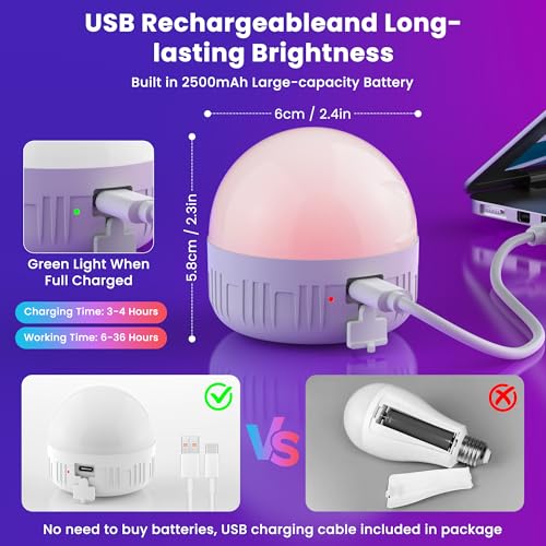 Rechargeable Light Bulbs with Remote