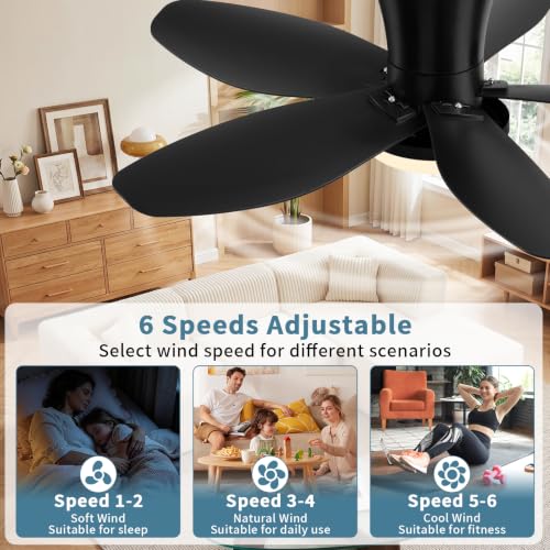 Small Ceiling Fan with Lights (32 Inch)