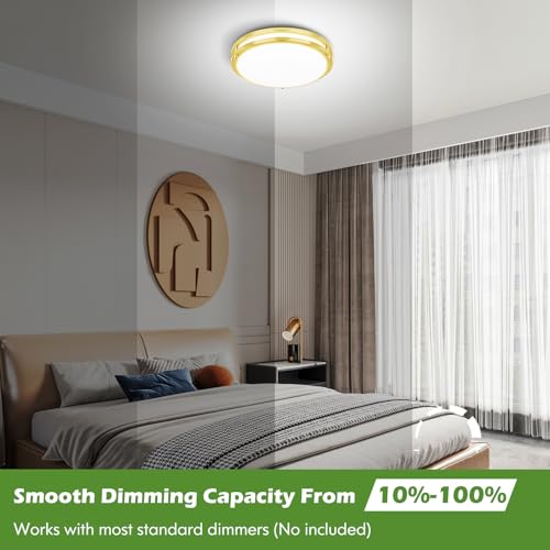 2 Pack Gold Flush Mount LED Ceiling Light Fixture (2 Count)