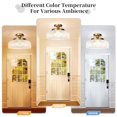 Semi Flush Mount Ceiling Light